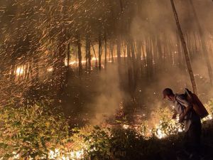 Khống chế được vụ cháy lớn ở rừng thông Ngự Bình - Huế trong đêm