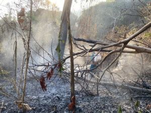 An Giang: Khống chế đám cháy lớn trên núi Cô Tô và núi Dài