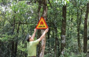 Thiết bị cảnh báo cháy rừng - Bảo vệ rừng, bảo vệ trái đất Thiết bị cảnh báo cháy rừng - Bảo vệ rừng, bảo vệ trái đất